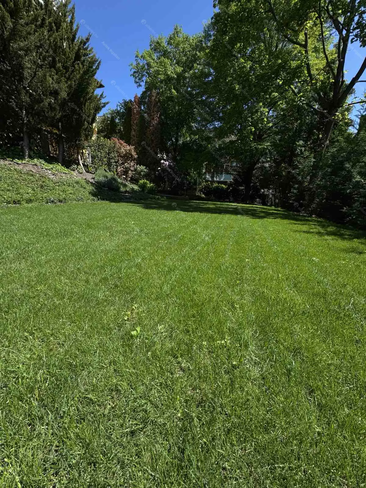 Kiadó albérlet 590000 Ft/hó áron: Budapest, II. kerület  Nagybányai út. Mérete: 110 nm, 4 szobás | Alberlet.hu - 6686461