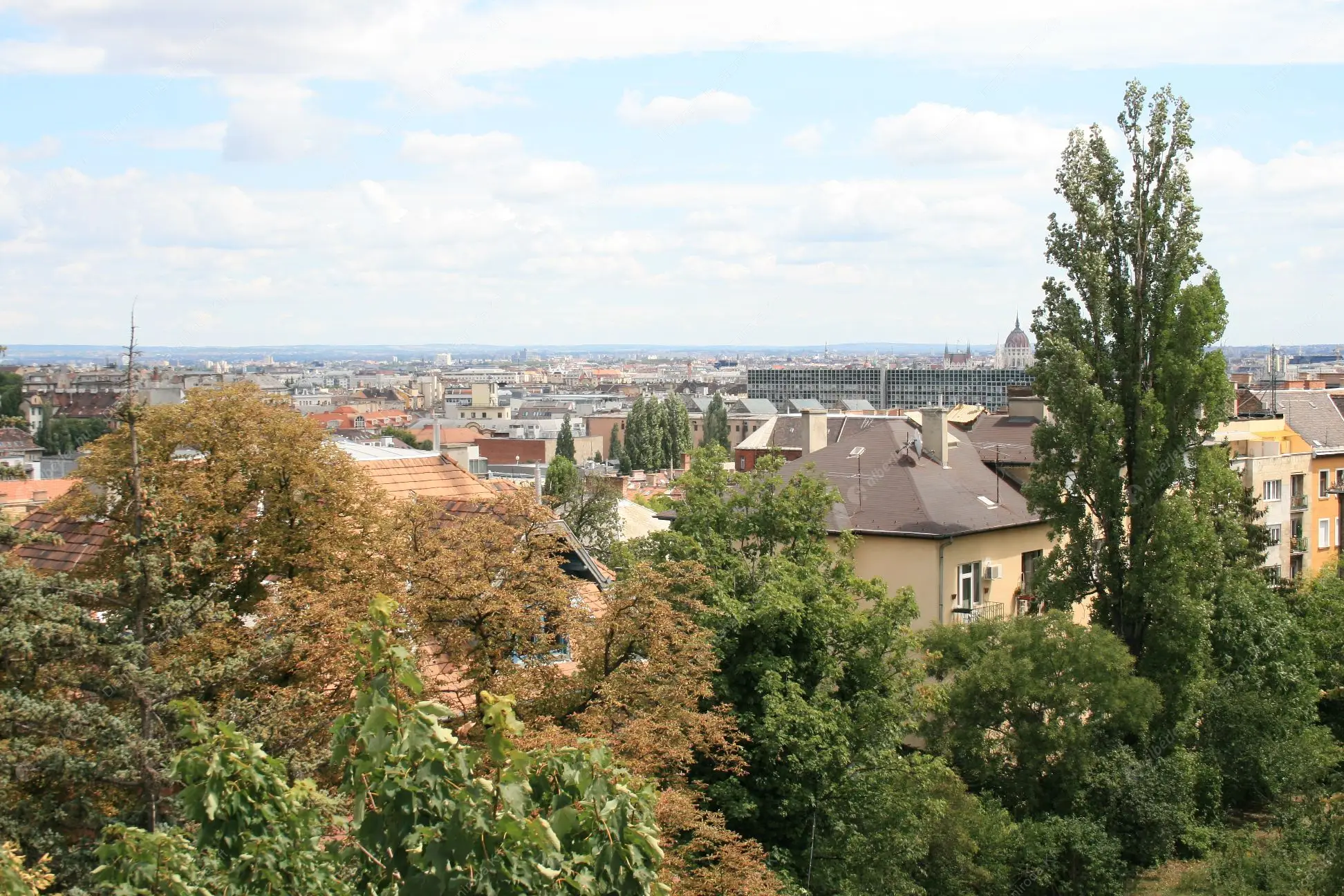 Kiadó albérlet 369000 Ft/hó áron: Budapest, II. kerület  Nyúl utca. Mérete: 55 nm, 2 szobás | Alberlet.hu - 6636034