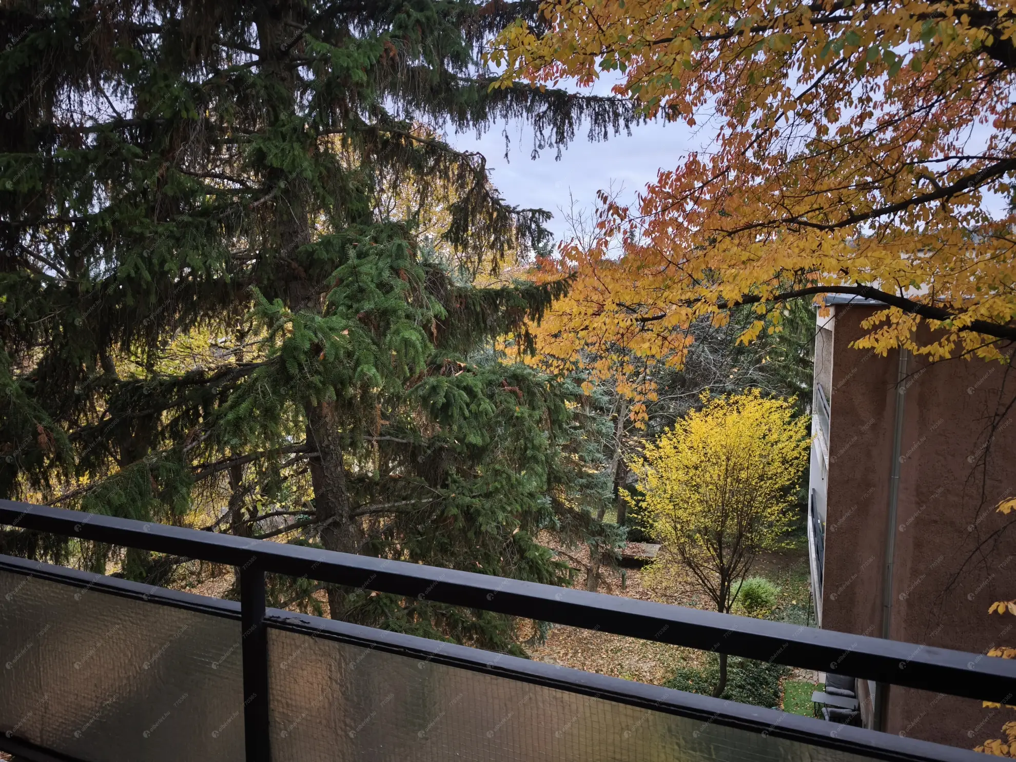 Kiadó albérlet 260000 Ft/hó áron: Budapest, II. kerület  Orló utca. Mérete: 53 nm, 2 szobás | Alberlet.hu - 6571110