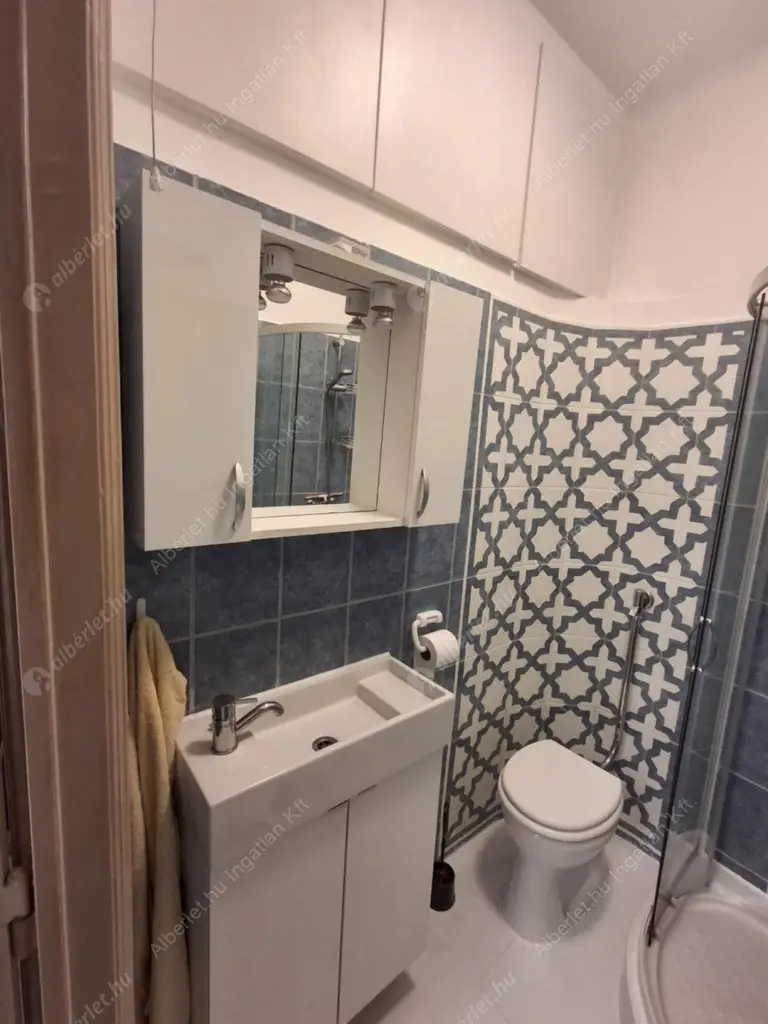 Kiadó albérlet 250000 Ft/hó áron: Budapest, II. kerület  Palánta utca. Mérete: 30 nm, 1 szobás | Alberlet.hu - 6595113