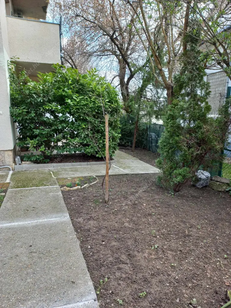 Kiadó albérlet 250000 Ft/hó áron: Budapest, II. kerület  Palánta utca. Mérete: 30 nm, 1 szobás | Alberlet.hu - 6595128