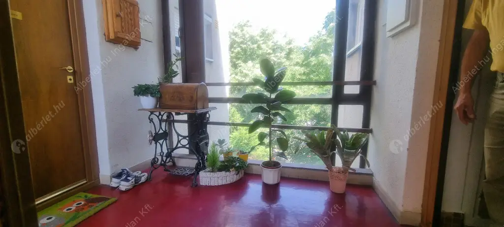 Kiadó albérlet 270000 Ft/hó áron: Budapest, II. kerület  Pasaréti út. Mérete: 53 nm, 2 szobás | Alberlet.hu - 6516145