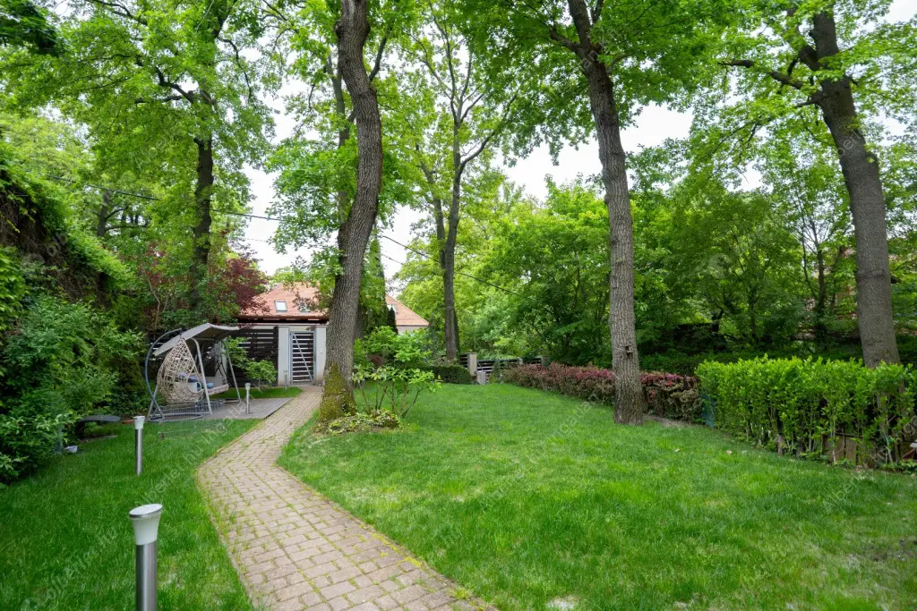 Kiadó albérlet 1336000 Ft/hó áron: Budapest, II. kerület  Pipitér utca. Mérete: 300 nm, 6 szobás | Alberlet.hu - 6515270