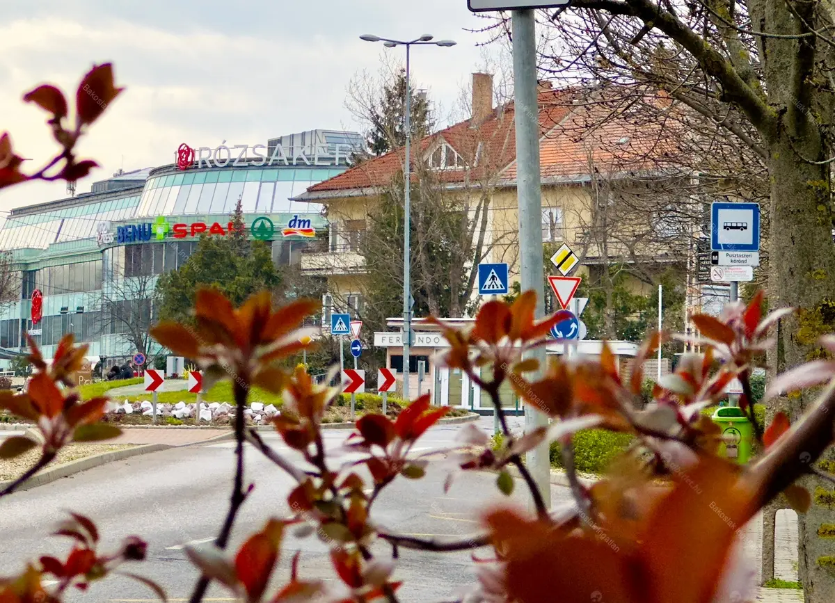 Kiadó albérlet 638000 Ft/hó áron: Budapest, II. kerület  Pusztaszeri út. Mérete: 105 nm, 3 szobás | Alberlet.hu - 6709804