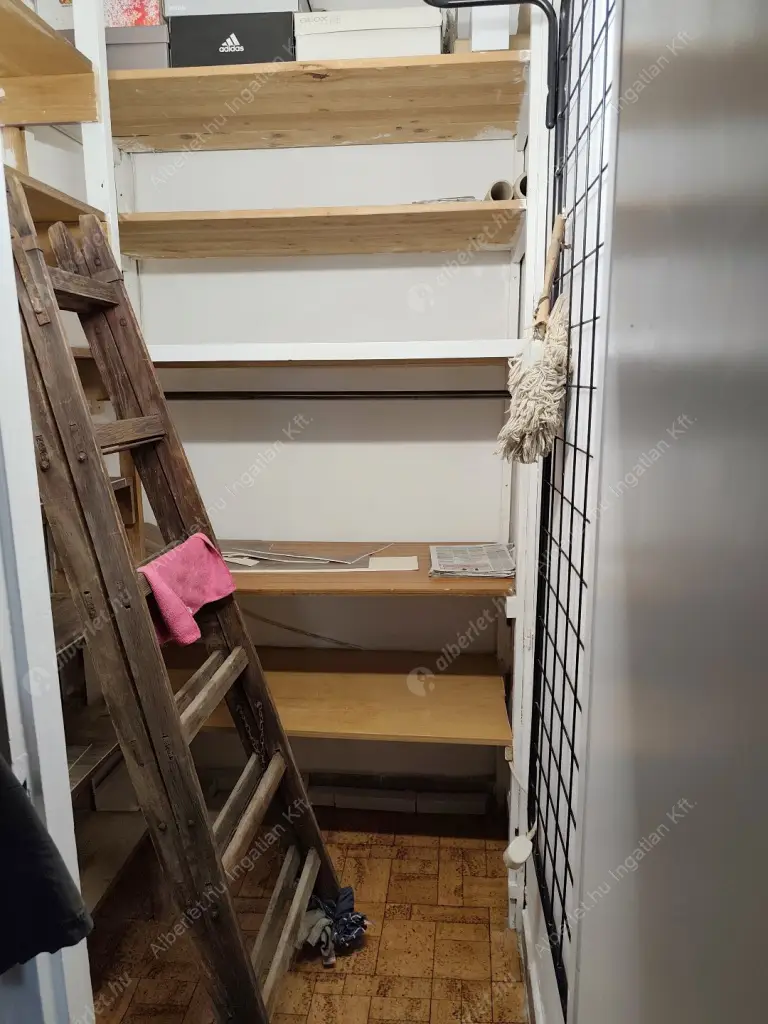 Kiadó albérlet 230000 Ft/hó áron: Budapest, II. kerület  Rókushegyi lépcső. Mérete: 52 nm, 2 szobás | Alberlet.hu - 6549617