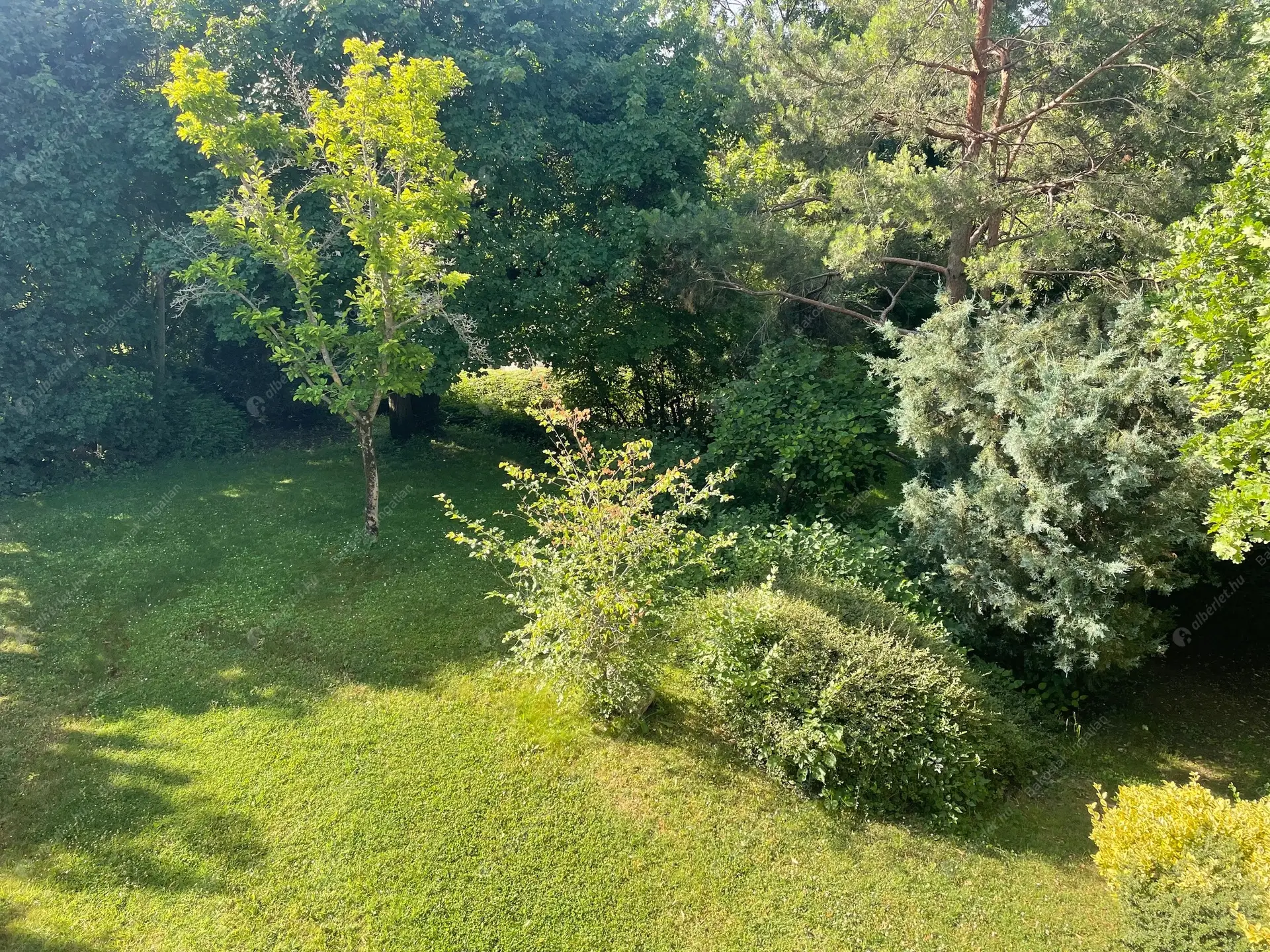 Kiadó albérlet 731000 Ft/hó áron: Budapest, II. kerület  Selyemakác utca. Mérete: 110 nm, 3 szobás | Alberlet.hu - 6479162