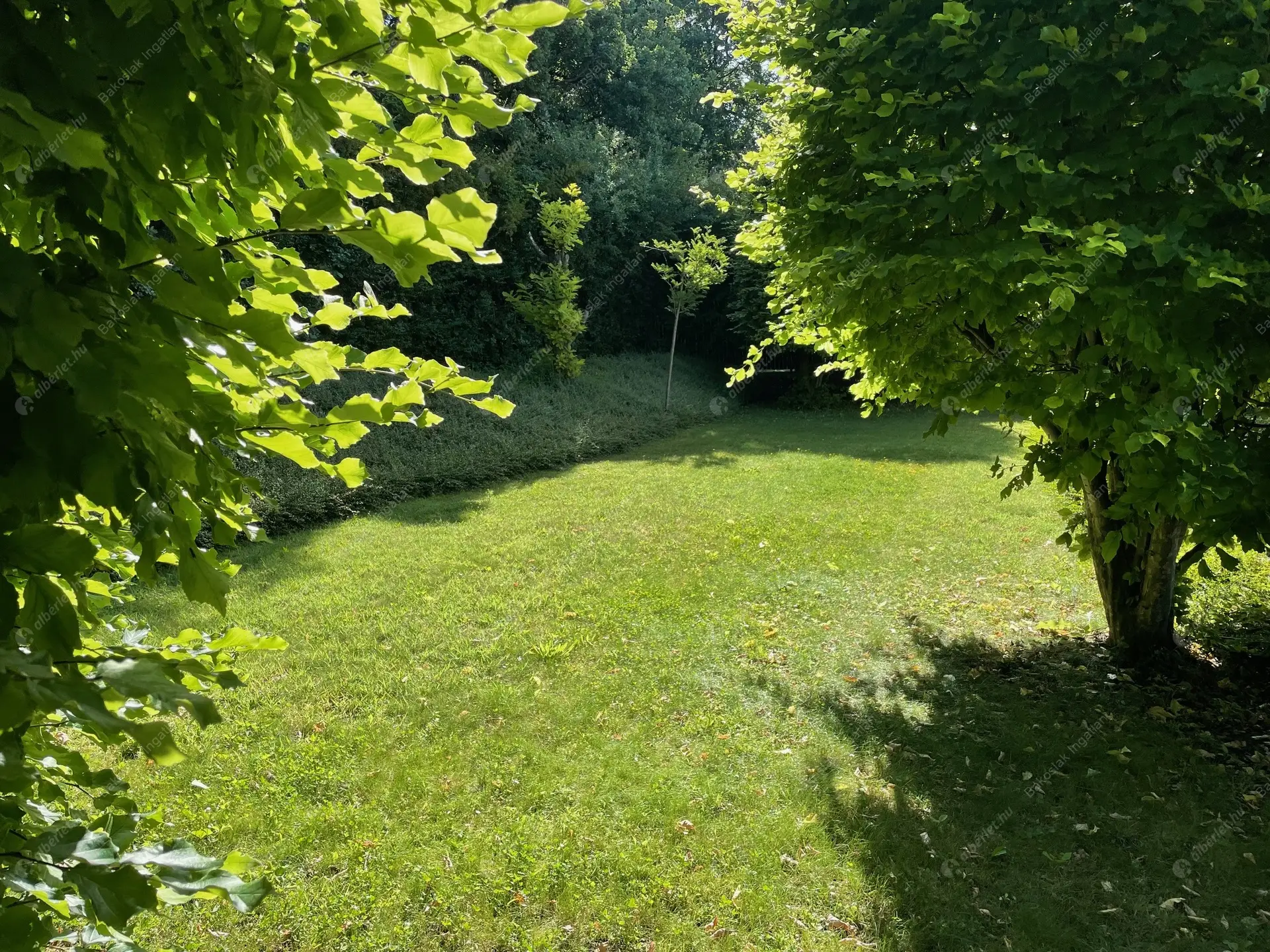 Kiadó albérlet 731000 Ft/hó áron: Budapest, II. kerület  Selyemakác utca. Mérete: 110 nm, 3 szobás | Alberlet.hu - 6479180