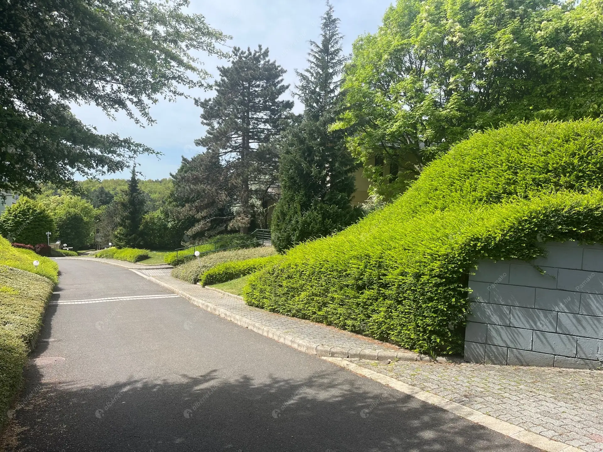 Kiadó albérlet 1250000 Ft/hó áron: Budapest, II. kerület  Selyemakác utca. Mérete: 220 nm, 4 szobás | Alberlet.hu - 6360066