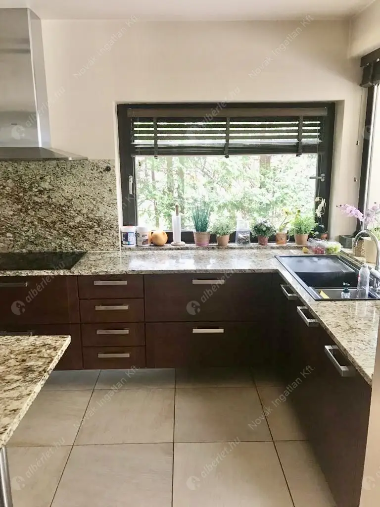 Kiadó albérlet 1922000 Ft/hó áron: Budapest, II. kerület  Sólyomvölgy utca. Mérete: 230 nm, 6 szobás | Alberlet.hu - 6587747