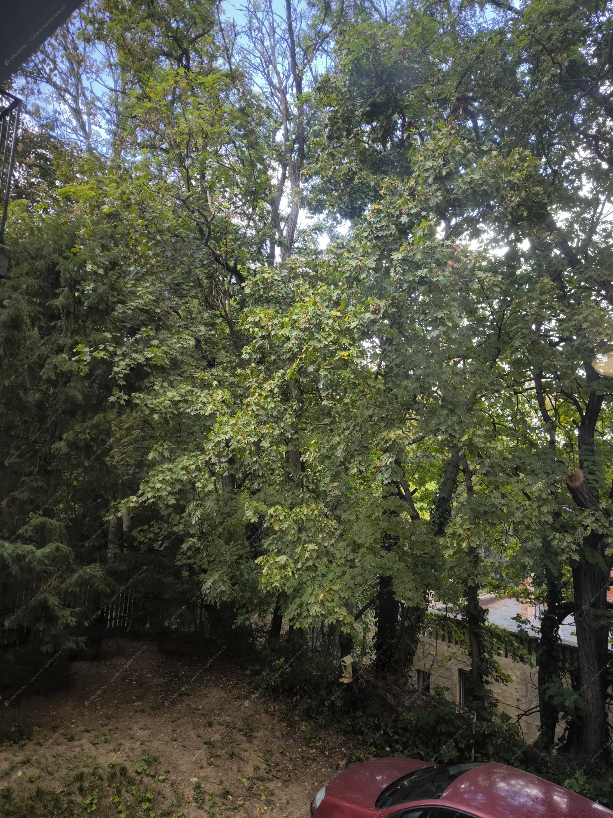 Kiadó albérlet 550000 Ft/hó áron: Budapest, II. kerület  Széher út. Mérete: 105 nm, 2 szobás | Alberlet.hu - 6558434