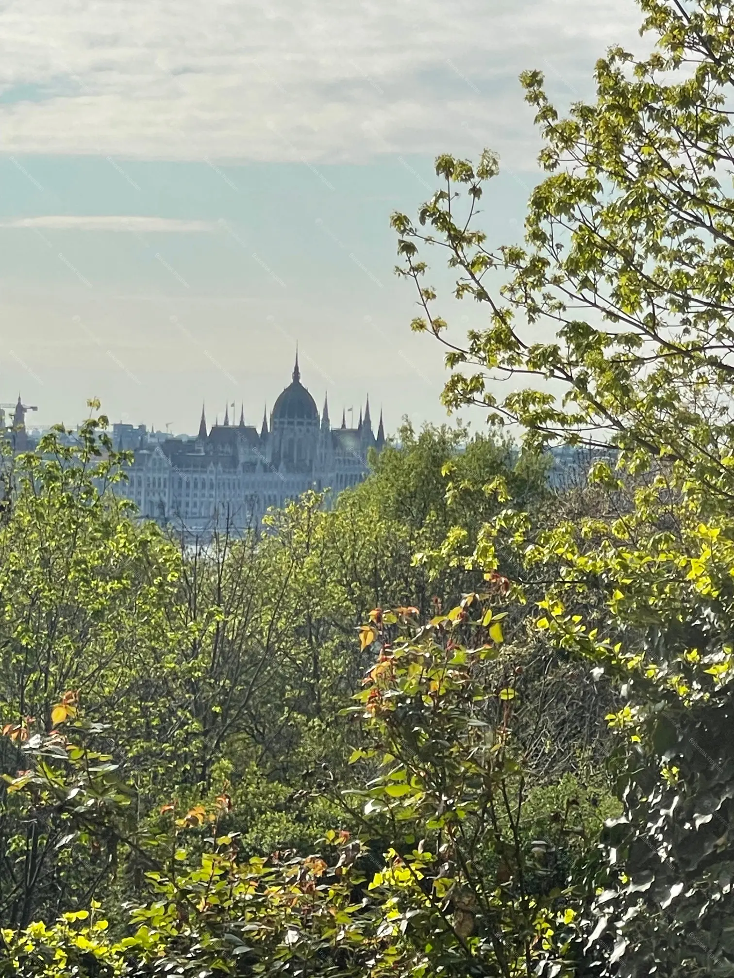 Kiadó albérlet 400000 Ft/hó áron: Budapest, II. kerület  Szeréna köz. Mérete: 90 nm, 2 szobás | Alberlet.hu - 6697530