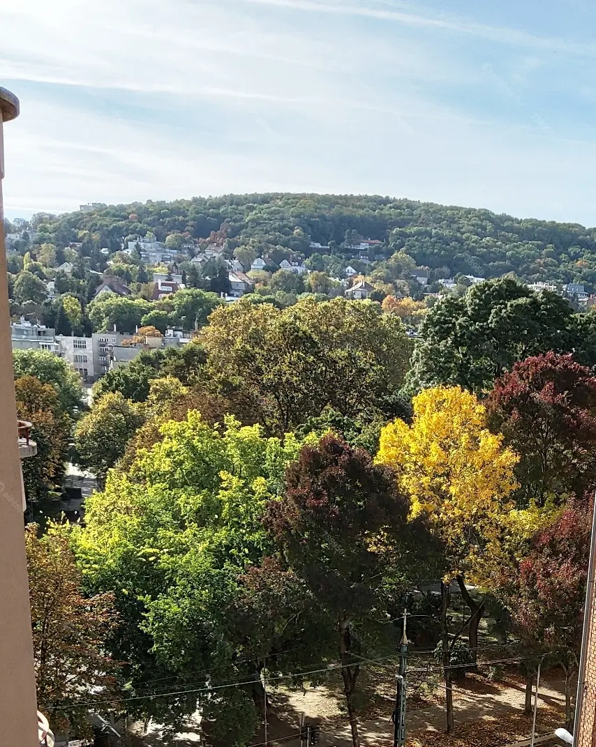 Kiadó albérlet 340000 Ft/hó áron: Budapest, II. kerület  Szilágyi Erzsébet fasor. Mérete: 74 nm, 3 szobás | Alberlet.hu - 6144268