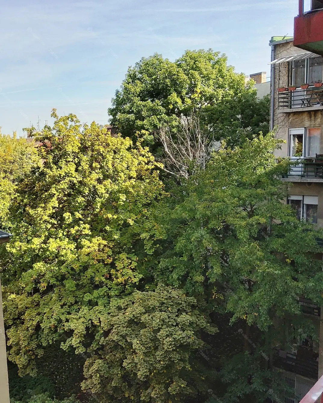 Kiadó albérlet 340000 Ft/hó áron: Budapest, II. kerület  Szilágyi Erzsébet fasor. Mérete: 74 nm, 3 szobás | Alberlet.hu - 6144290