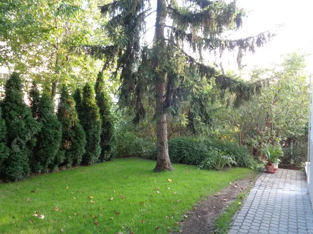 Kiadó albérlet 400000 Ft/hó áron: Budapest, II. kerület  Törökvész út. Mérete: 70 nm, 2 szobás | Alberlet.hu - 3148546