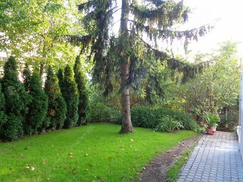 Kiadó albérlet 400000 Ft/hó áron: Budapest, II. kerület  Törökvész út. Mérete: 70 nm, 2 szobás | Alberlet.hu - 6620213