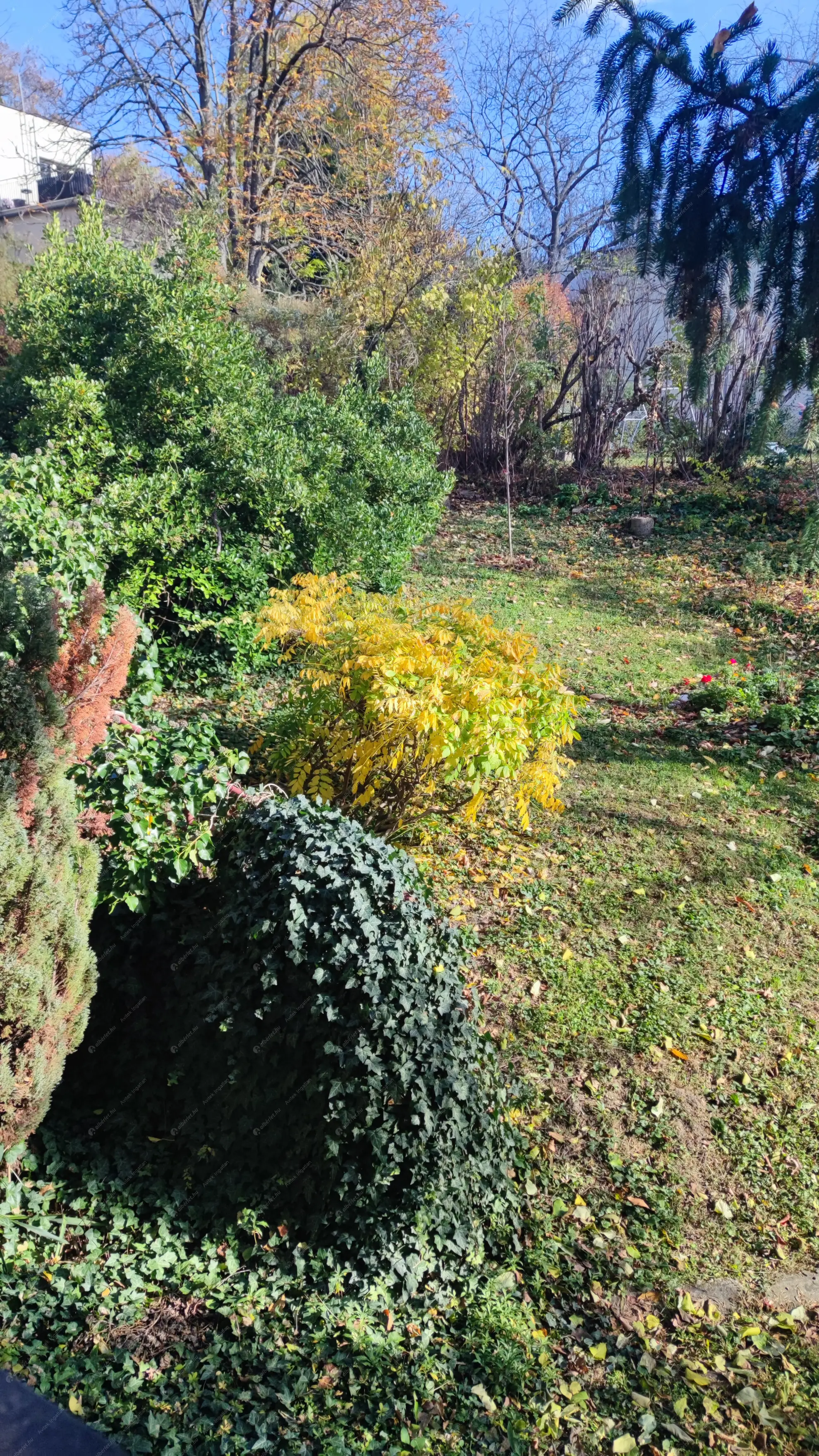 Kiadó albérlet 230000 Ft/hó áron: Budapest, II. kerület  Trombitás u. . Mérete: 53 nm, 2 szobás | Alberlet.hu - 6575793