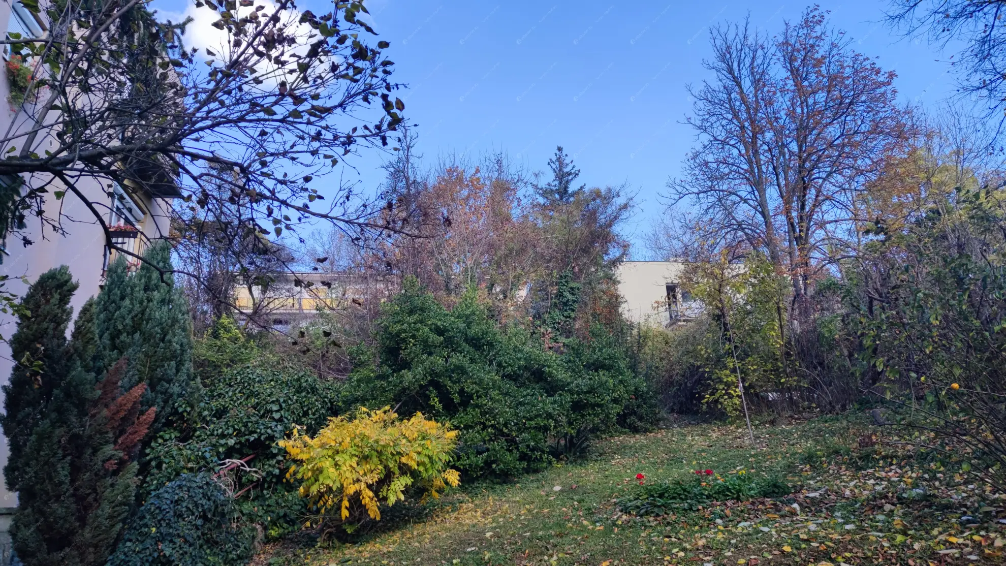 Kiadó albérlet 230000 Ft/hó áron: Budapest, II. kerület  Trombitás u. . Mérete: 53 nm, 2 szobás | Alberlet.hu - 6575802