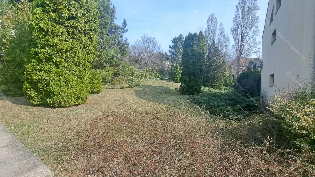 Kiadó albérlet 450000 Ft/hó áron: Budapest, II. kerület  Zöldkő utca. Mérete: 80 nm, 2 szobás | Alberlet.hu - 6678032