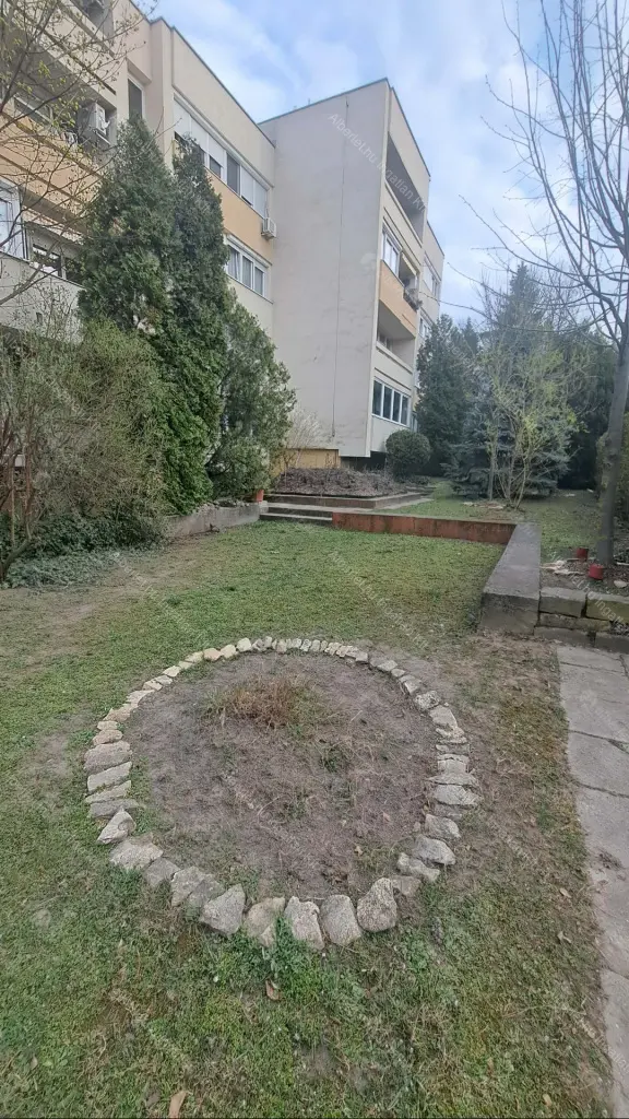 Kiadó albérlet 250000 Ft/hó áron: Budapest, II. kerület  Zöldlomb utca. Mérete: 55 nm, 2 szobás | Alberlet.hu - 6683247