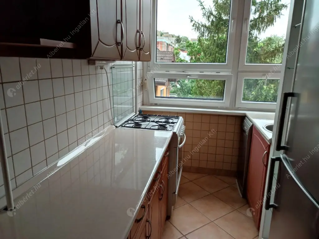 Kiadó albérlet 320000 Ft/hó áron: Budapest, II. kerület  Zöldlomb utca. Mérete: 60 nm, 3 szobás | Alberlet.hu - 6565763