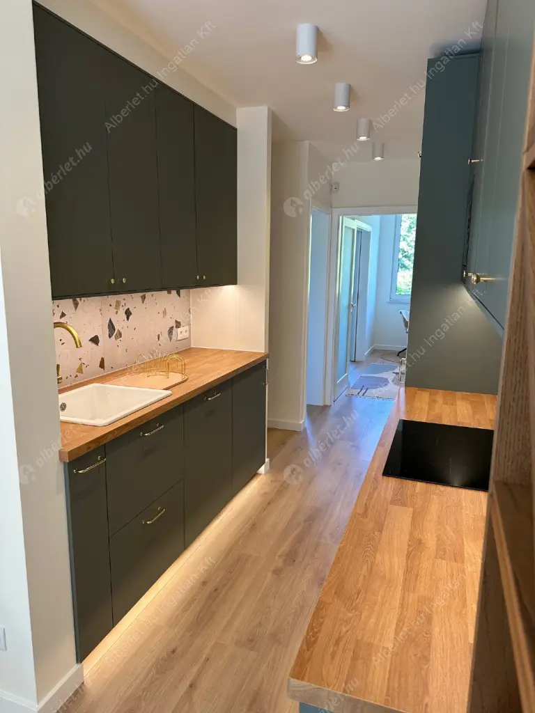 Kiadó albérlet 440000 Ft/hó áron: Budapest, II. kerület  Zöldmáli lejtő. Mérete: 65 nm, 2 szobás | Alberlet.hu - 6568974