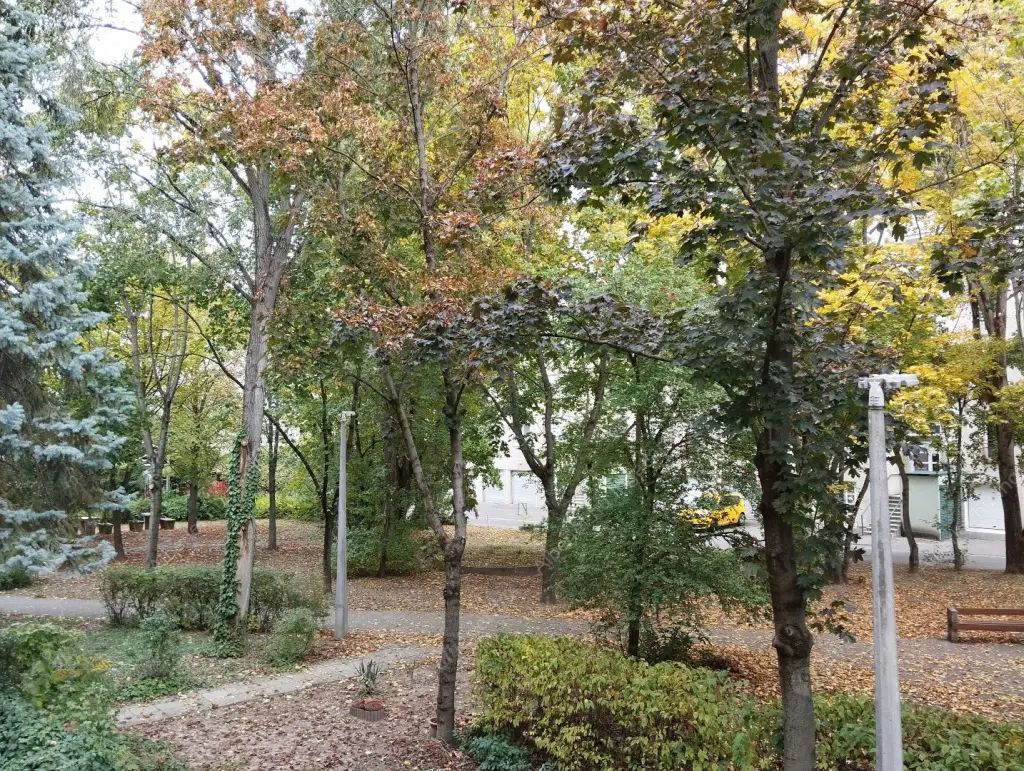 Kiadó albérlet 185000 Ft/hó áron: Budapest, III. kerület  Amfiteátrum utca. Mérete: 27 nm, 1 szobás | Alberlet.hu - 6593148