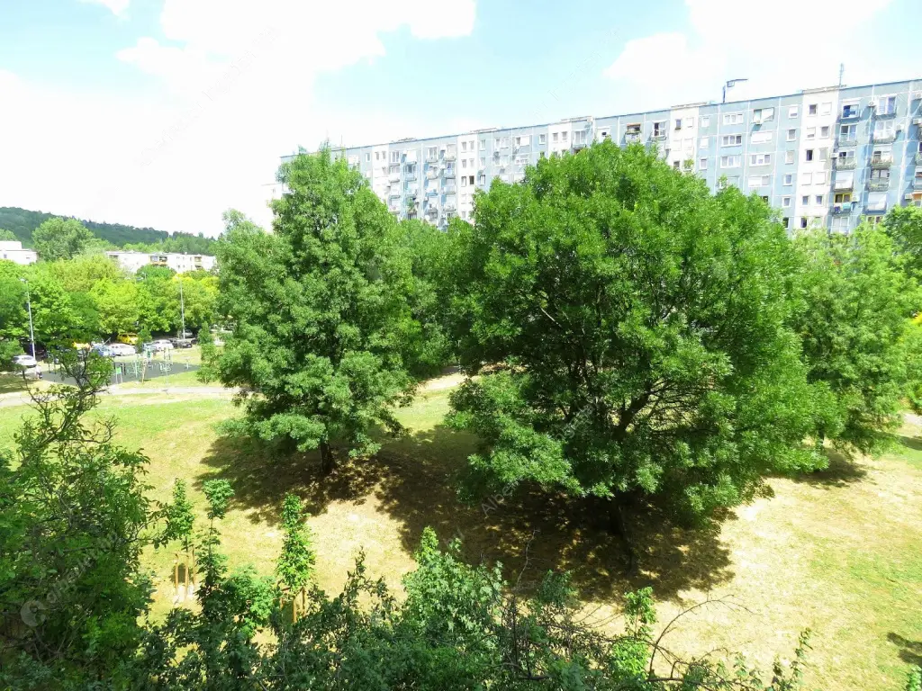 Kiadó albérlet 230000 Ft/hó áron: Budapest, III. kerület  Bálint György utca. Mérete: 57 nm, 1 szobás | Alberlet.hu - 6591423