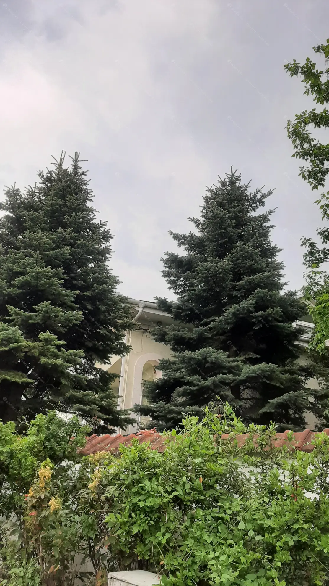 Kiadó albérlet 220000 Ft/hó áron: Budapest, III. kerület  Erdőalja út. Mérete: 50 nm, 1 szobás | Alberlet.hu - 6600700