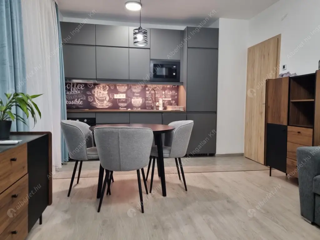 Kiadó albérlet 300000 Ft/hó áron: Budapest, III. kerület  Folyamőr utca. Mérete: 45 nm, 2 szobás | Alberlet.hu - 6595445