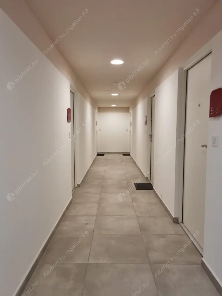 Kiadó albérlet 300000 Ft/hó áron: Budapest, III. kerület  Folyamőr utca. Mérete: 45 nm, 2 szobás | Alberlet.hu - 6595461