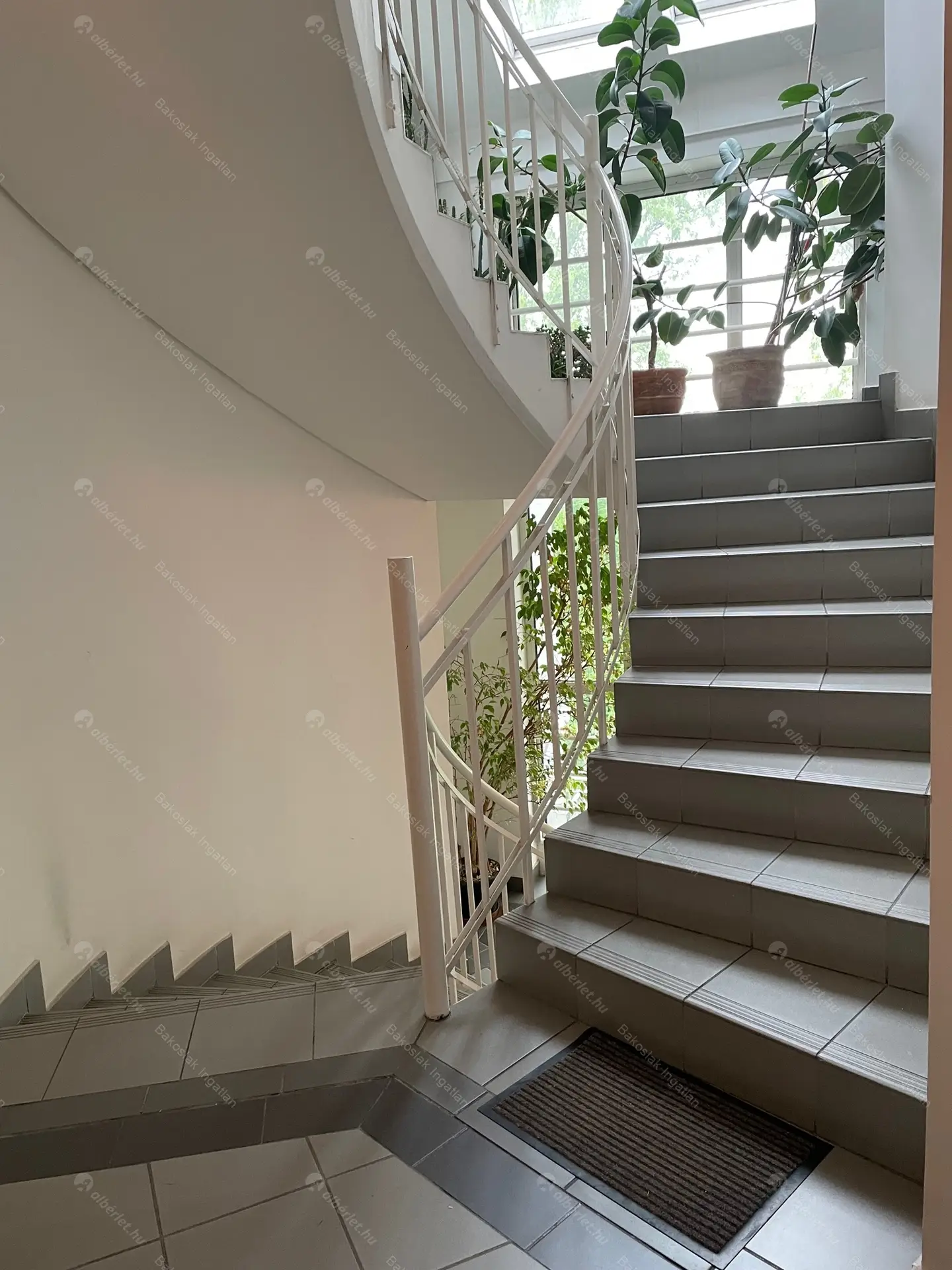 Kiadó albérlet 854000 Ft/hó áron: Budapest, III. kerület  Folyondár utca. Mérete: 120 nm, 4 szobás | Alberlet.hu - 5655929