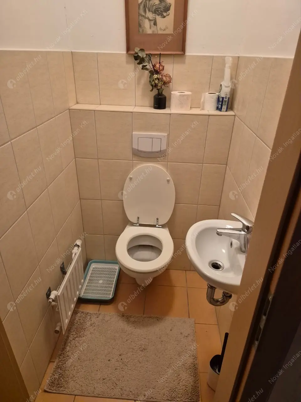 Kiadó albérlet 290000 Ft/hó áron: Budapest, III. kerület  Hunor utca. Mérete: 51 nm, 1 szobás | Alberlet.hu - 6620734
