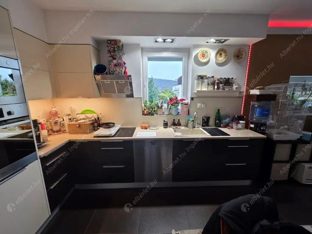 Kiadó albérlet 500000 Ft/hó áron: Budapest, III. kerület  Iglice utca. Mérete: 95 nm, 3 szobás | Alberlet.hu - 6591255