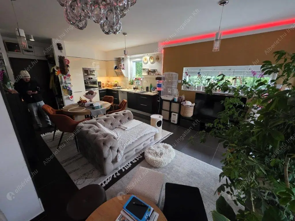 Kiadó albérlet 500000 Ft/hó áron: Budapest, III. kerület  Iglice utca. Mérete: 95 nm, 3 szobás | Alberlet.hu - 6591258