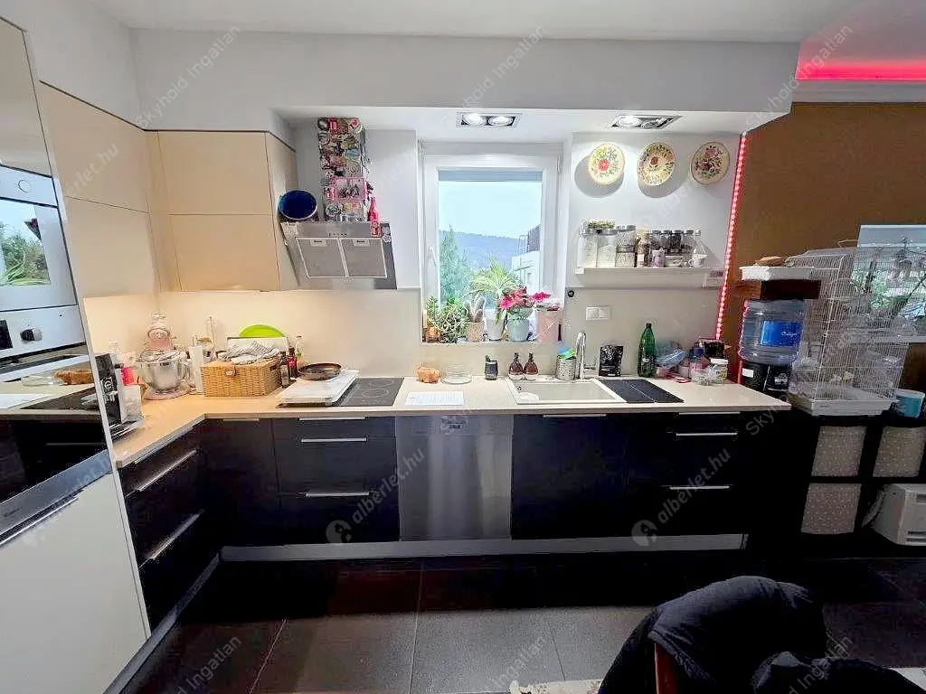 Kiadó albérlet 490000 Ft/hó áron: Budapest, III. kerület  Iglice utca. Mérete: 95 nm, 4 szobás | Alberlet.hu - 6595852