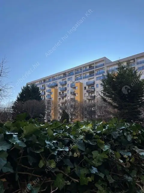 Kiadó albérlet 220000 Ft/hó áron: Budapest, III. kerület  Lajos utca. Mérete: 35 nm, 1 szobás | Alberlet.hu - 6638512