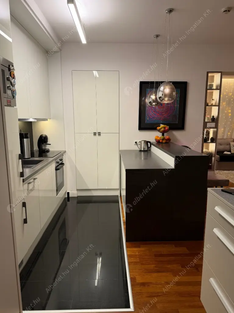 Kiadó albérlet 370000 Ft/hó áron: Budapest, III. kerület  Nánási  út . Mérete: 55 nm, 1 szobás | Alberlet.hu - 6608809