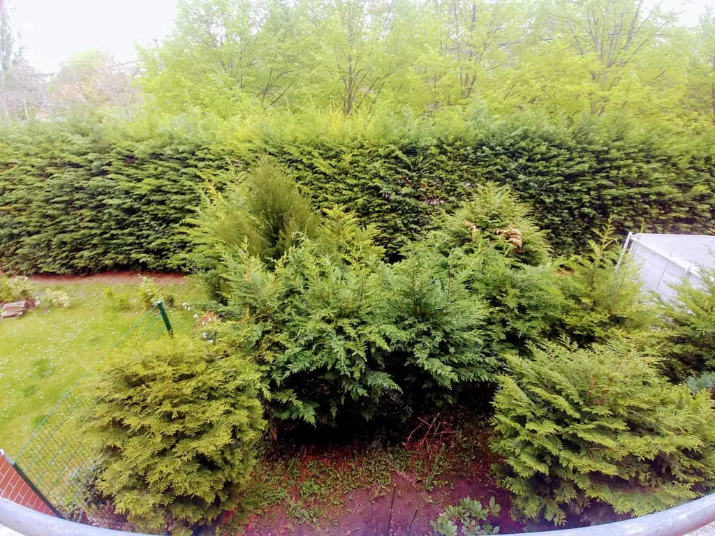 Kiadó albérlet 220000 Ft/hó áron: Budapest, III. kerület  Nánási út. Mérete: 37 nm, 1 szobás | Alberlet.hu - 6651241