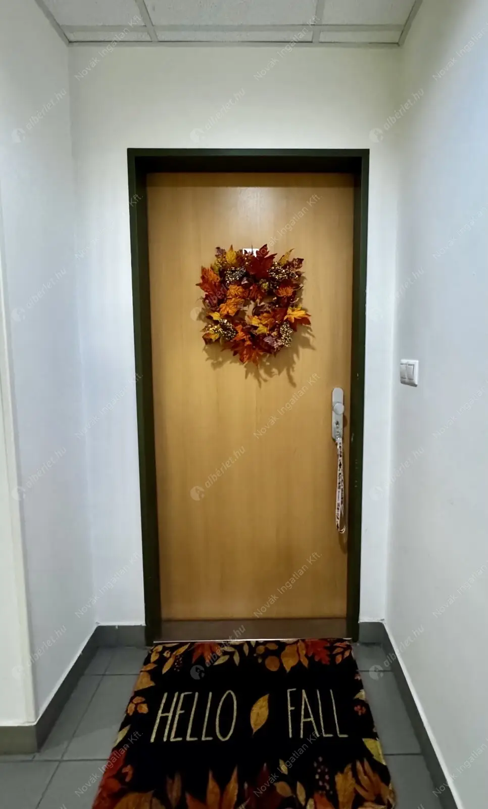 Kiadó albérlet 275000 Ft/hó áron: Budapest, III. kerület  Pacsirtamező utca. Mérete: 54 nm, 2 szobás | Alberlet.hu - 6588805