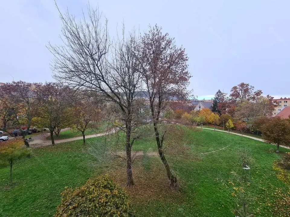 Kiadó albérlet 250000 Ft/hó áron: Budapest, III. kerület  Szél utca. Mérete: 50 nm, 2 szobás | Alberlet.hu - 6699225