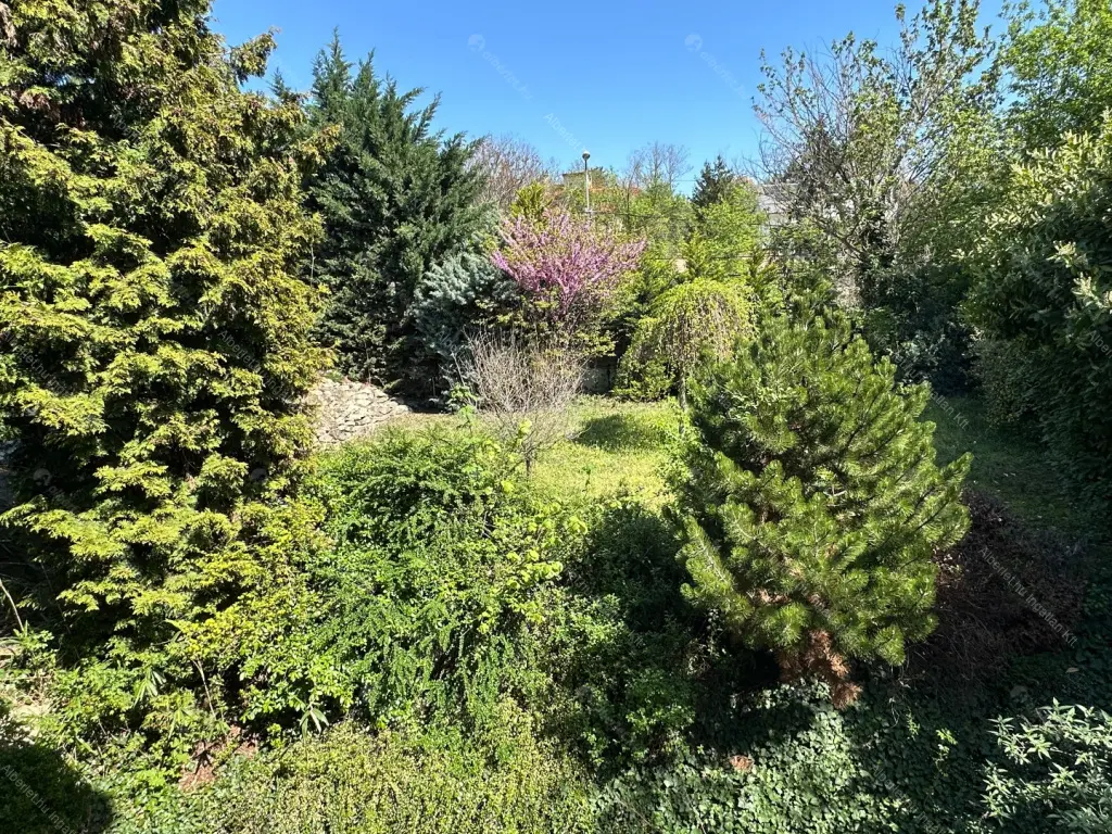 Kiadó albérlet 2300000 Ft/hó áron: Budapest, III. kerület  Szépvölgyi út. Mérete: 180 nm, 5 szobás | Alberlet.hu - 6702260