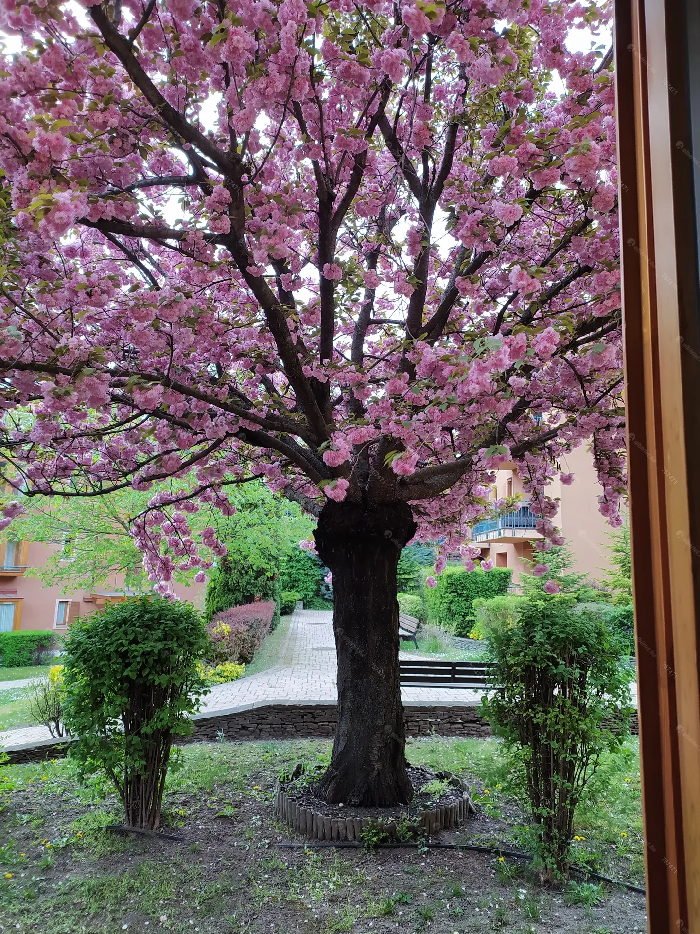 Kiadó albérlet 320000 Ft/hó áron: Budapest, III. kerület  Szépvölgyi út. Mérete: 50 nm, 2 szobás | Alberlet.hu - 6395751