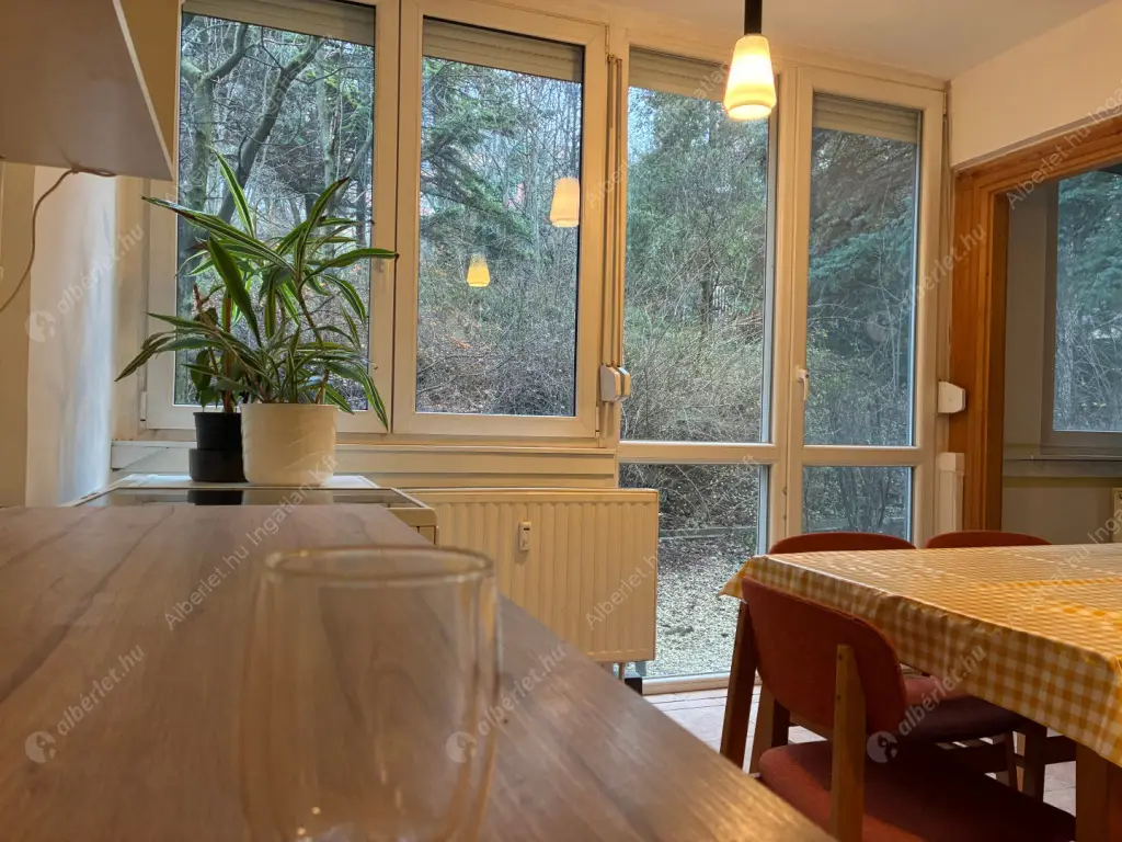 Kiadó albérlet 240000 Ft/hó áron: Budapest, III. kerület  Toboz utca. Mérete: 52 nm, 1 szobás | Alberlet.hu - 6632312