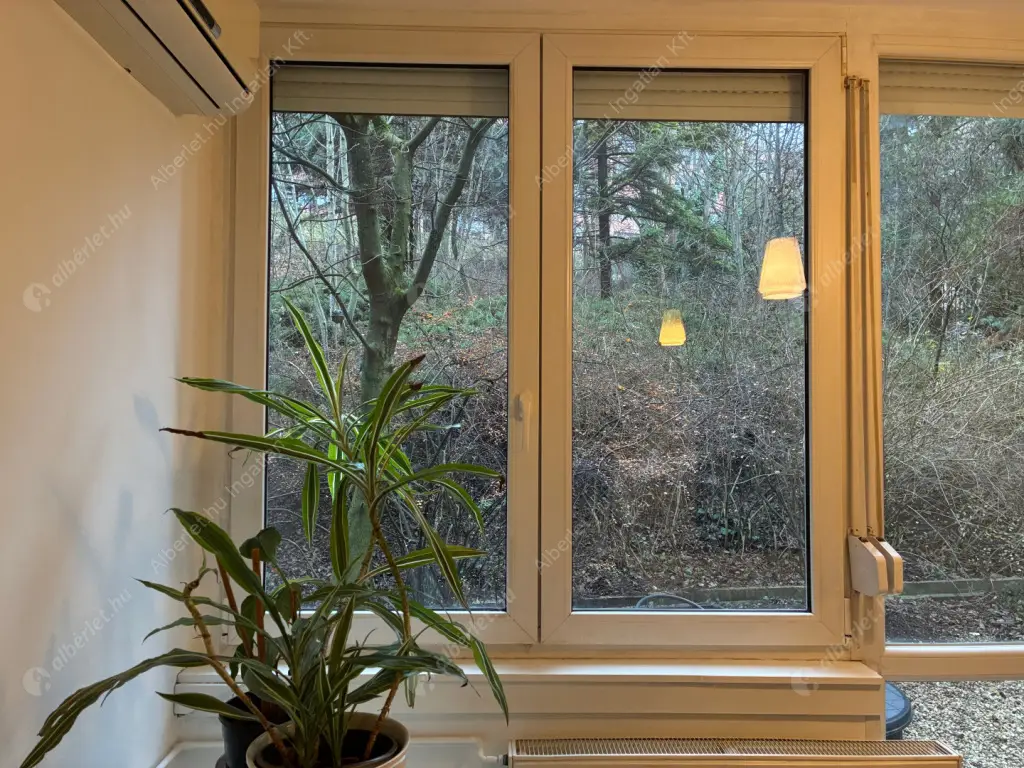 Kiadó albérlet 240000 Ft/hó áron: Budapest, III. kerület  Toboz utca. Mérete: 52 nm, 1 szobás | Alberlet.hu - 6632313