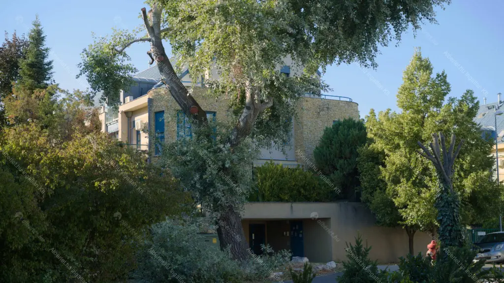 Kiadó albérlet 290000 Ft/hó áron: Budapest, III. kerület  Tündérliget utca. Mérete: 52 nm, 1 szobás | Alberlet.hu - 6648595