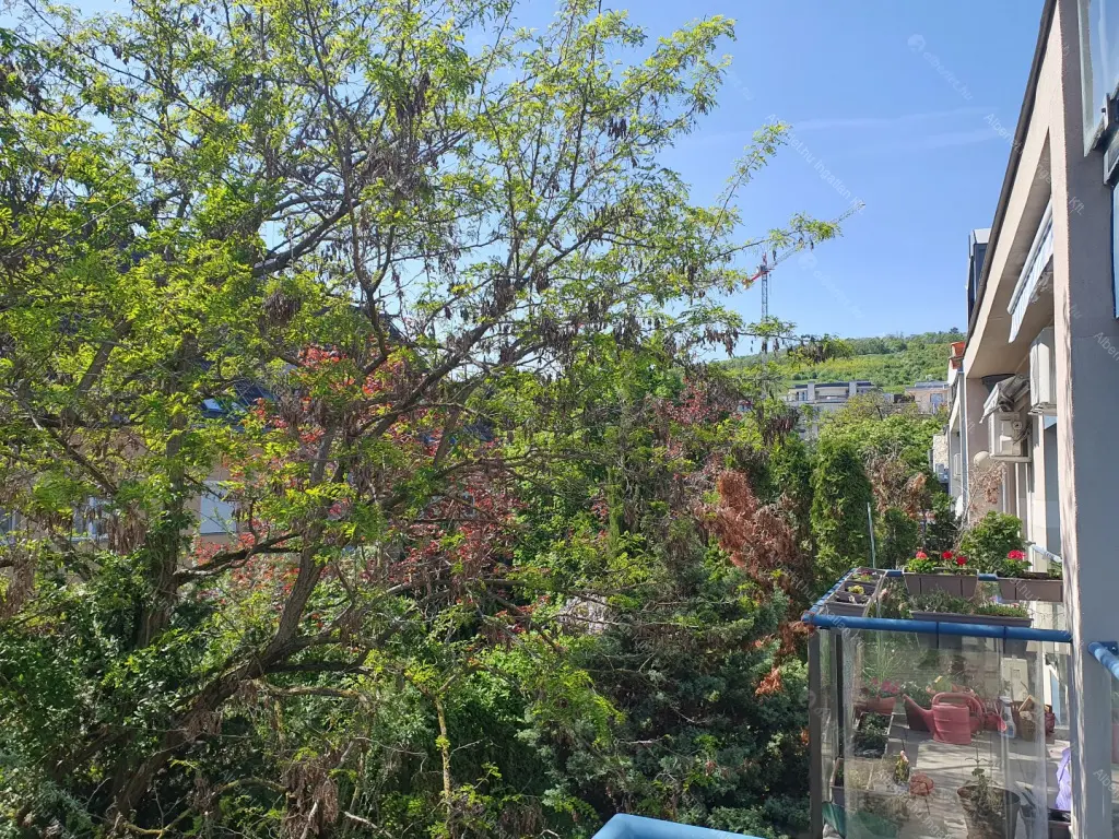 Kiadó albérlet 275000 Ft/hó áron: Budapest, III. kerület  Tündérliget utca. Mérete: 52 nm, 1 szobás | Alberlet.hu - 6706987