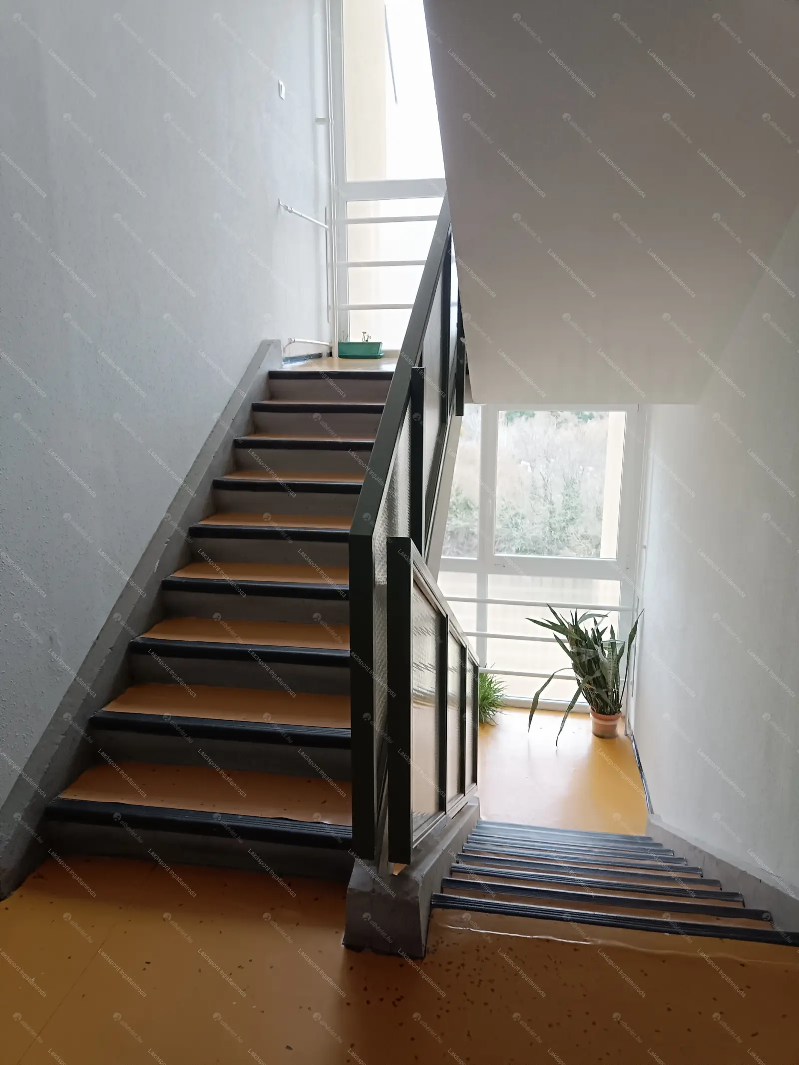 Kiadó albérlet 303000 Ft/hó áron: Budapest, IV. kerület  Erdősor út. Mérete: 65 nm, 3 szobás | Alberlet.hu - 6657165