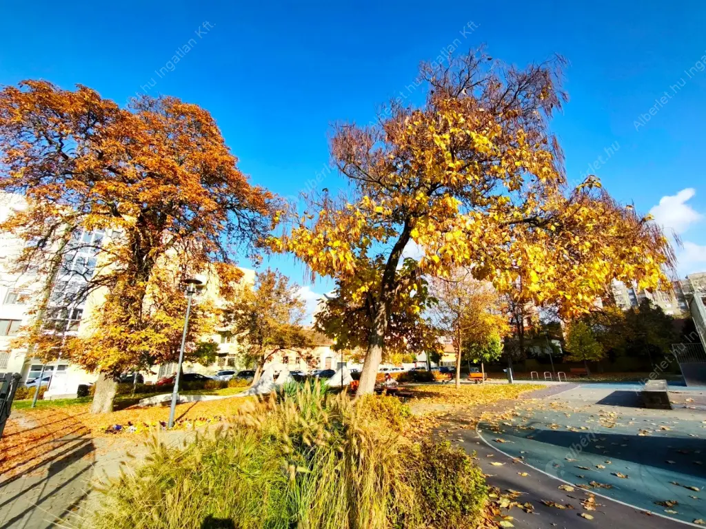 Kiadó albérlet 180000 Ft/hó áron: Budapest, IV. kerület  Kassai utca. Mérete: 35 nm, 1 szobás | Alberlet.hu - 6584285