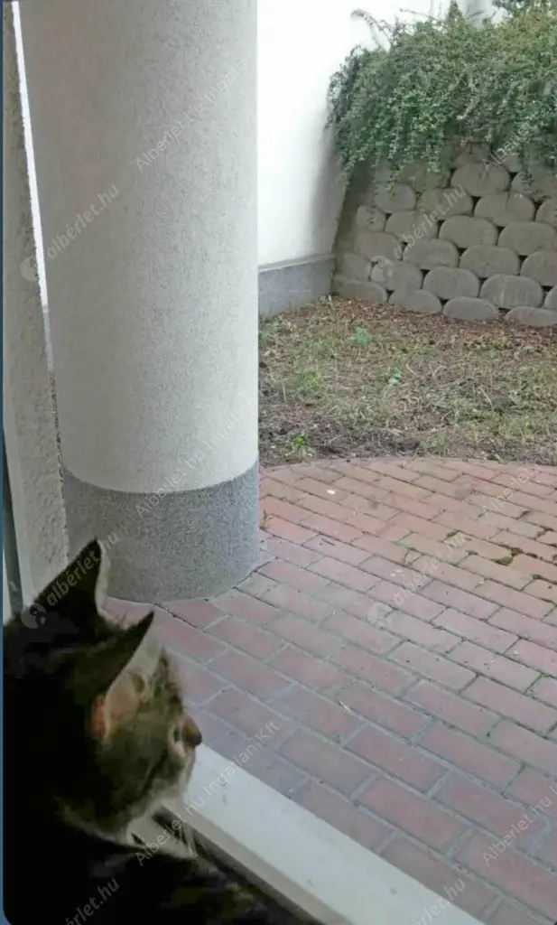 Kiadó albérlet 190000 Ft/hó áron: Budapest, IX. kerület  Balázs Béla utca. Mérete: 31 nm, 1 szobás | Alberlet.hu - 6637794