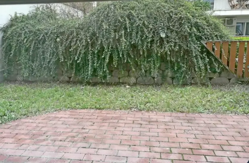 Kiadó albérlet 190000 Ft/hó áron: Budapest, IX. kerület  Balázs Béla utca. Mérete: 31 nm, 1 szobás | Alberlet.hu - 6637795